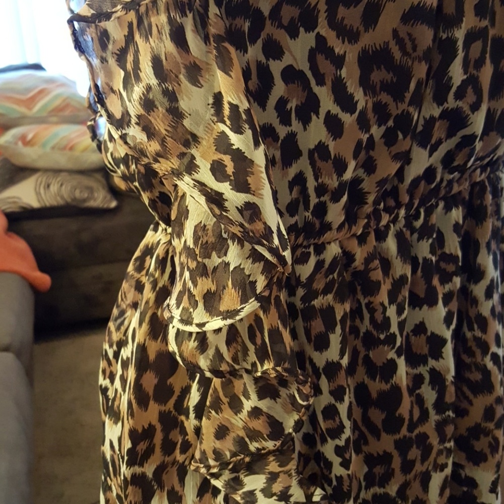Leopard Print Dress - Picture 6 of 7